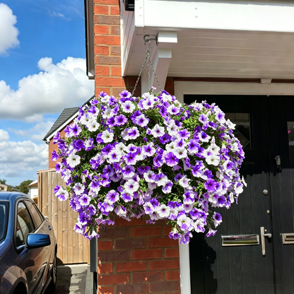 💐UV-Resistant Artificial Petunias – Always Blooming, Zero Maintenance