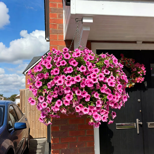 💐UV-Resistant Artificial Petunias – Always Blooming, Zero Maintenance