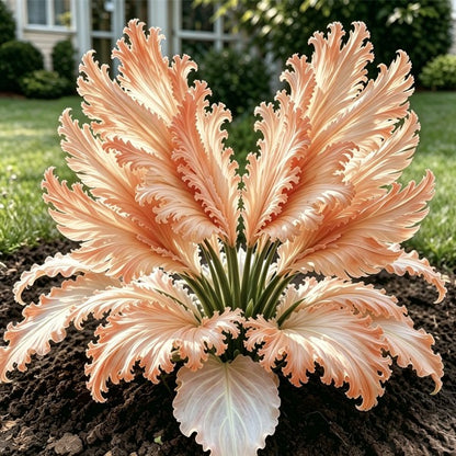 🌱Rare Swan Feather Hosta Bulbs -🦢 Graceful Foliage That Unfolds Like Swan Wings