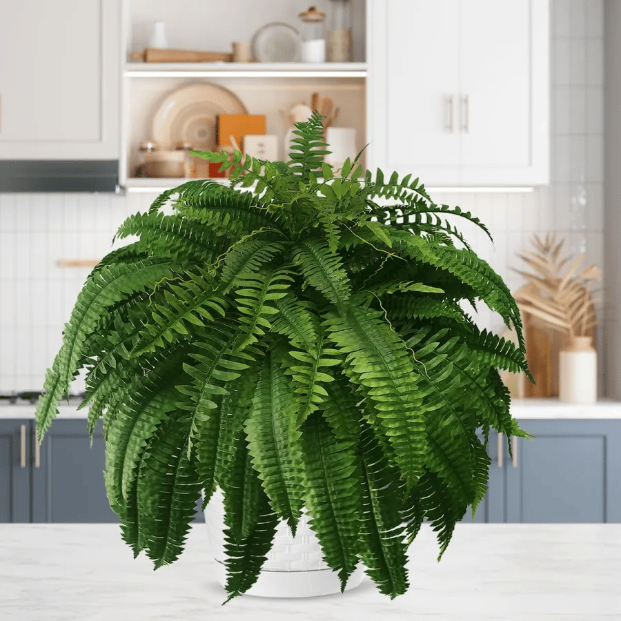 🌱 UV-Resistant Lifelike Artificial Boston Fern