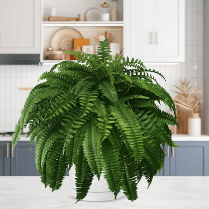 🌱 UV-Resistant Lifelike Artificial Boston Fern