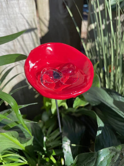 🐝Bee Watering Station,🦋Butterfly Puddler,Hummingbird Drinking Cups