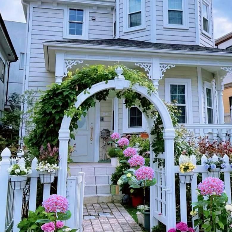 🔥Hot Sale-50% OFF🔥Outdoor Solar Hydrangea Flower Lights