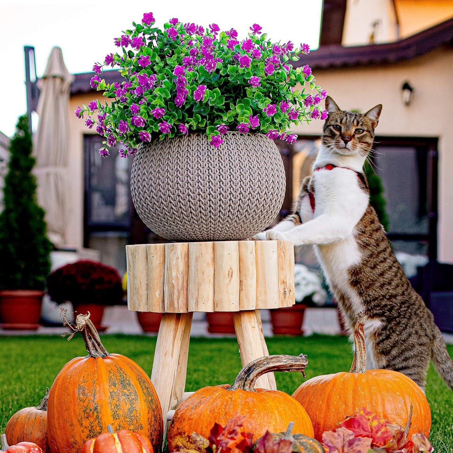 💥Last Day 50% OFF - 💐Outdoor Artificial Flowers