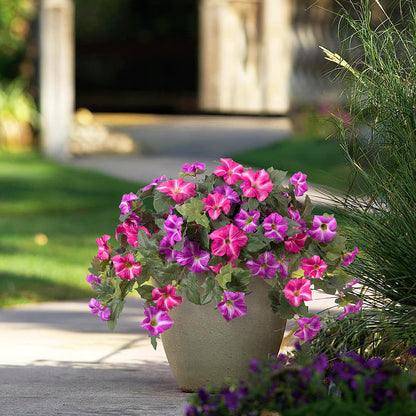 Hot Sale✨UV Simulation Artificial Petunias💐