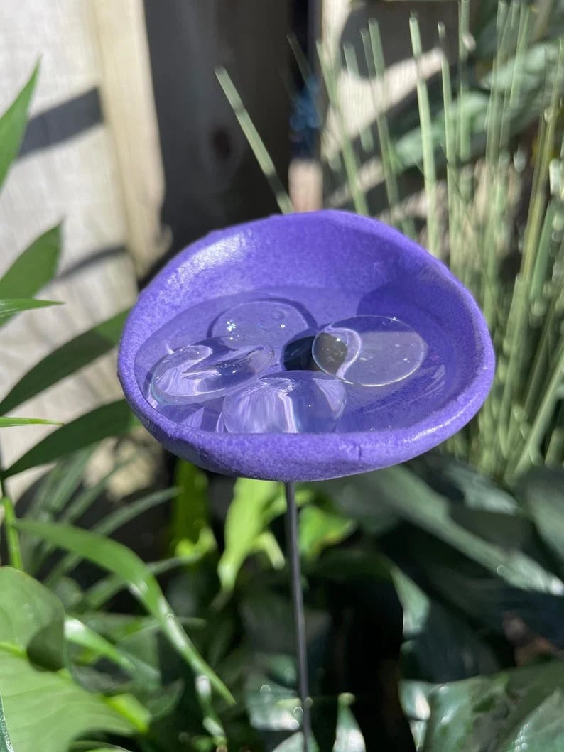 🐝Bee Watering Station,🦋Butterfly Puddler,Hummingbird Drinking Cups