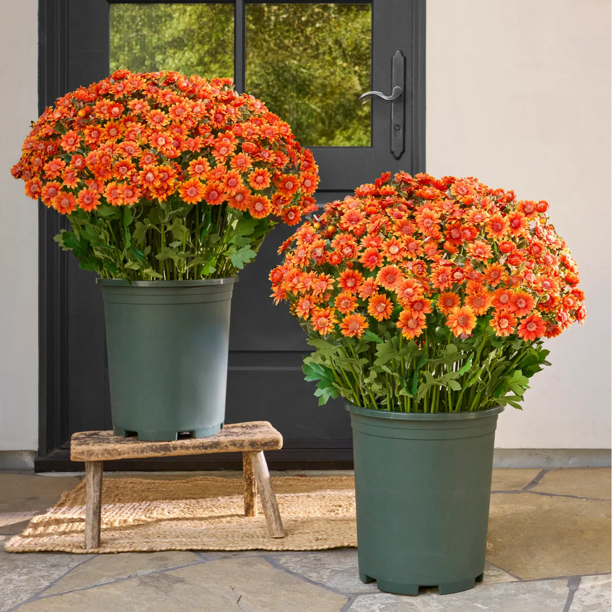 💥ON SALE💥- Artificial Outdoor Sunset Mums Flowers - UV resistant, Waterproof, Windproof