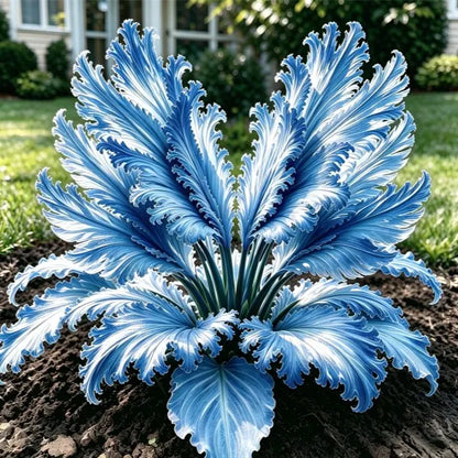 🌱Rare Swan Feather Hosta Bulbs -🦢 Graceful Foliage That Unfolds Like Swan Wings