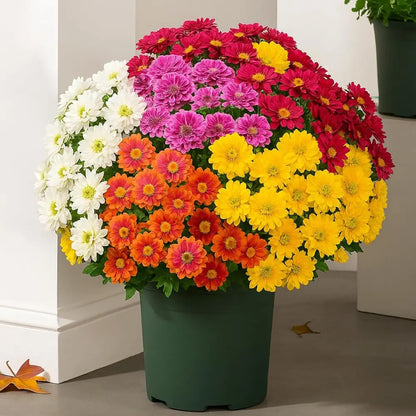 💥ON SALE💥- Artificial Outdoor Sunset Mums Flowers - UV resistant, Waterproof, Windproof