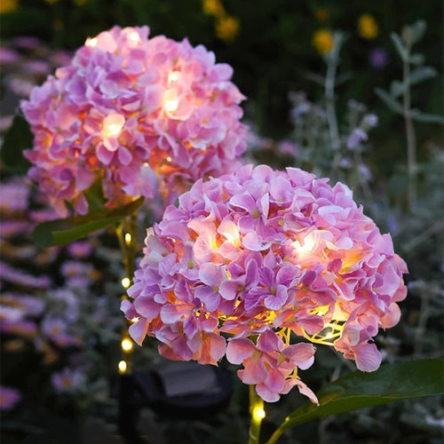 🔥Hot Sale-50% OFF🔥Outdoor Solar Hydrangea Flower Lights