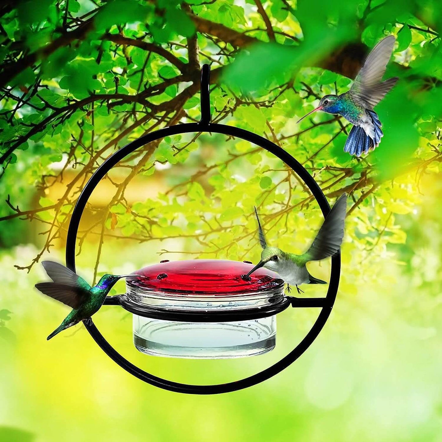 🎉Hummble Slim Hummingbird Feeder