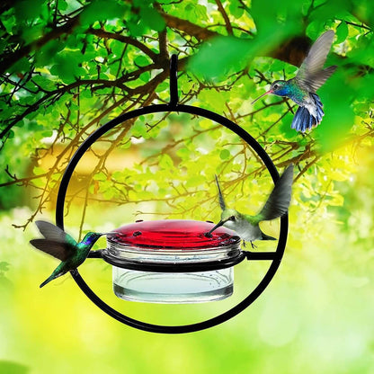 🎉Hummble Slim Hummingbird Feeder