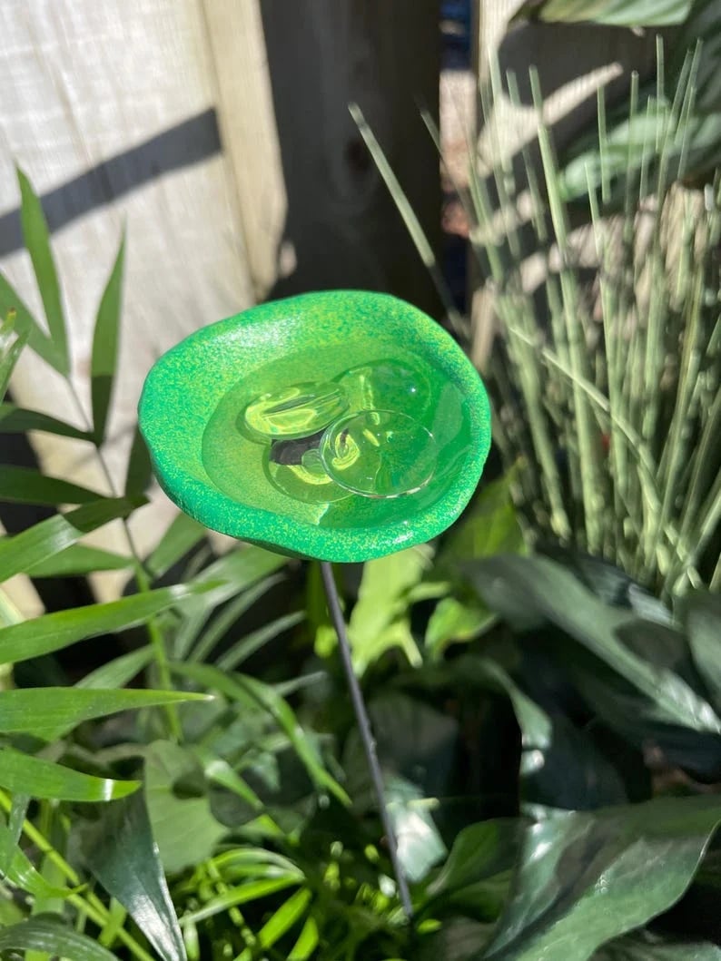 🐝Bee Watering Station,🦋Butterfly Puddler,Hummingbird Drinking Cups