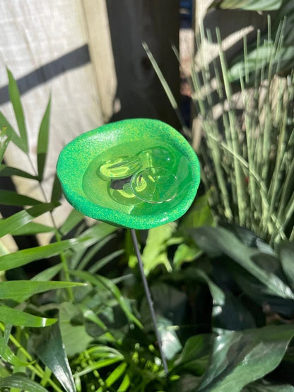 🐝Bee Watering Station,🦋Butterfly Puddler,Hummingbird Drinking Cups
