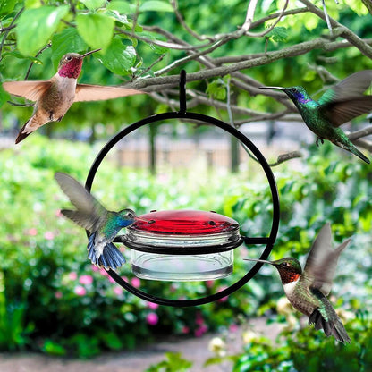 🎉Hummble Slim Hummingbird Feeder
