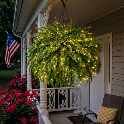 🔥Last Day 50% OFF🔥Oversized Pre-Lit Artificial Boston Ferns --No watering, No fading